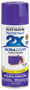 RUST-OLEUM PAINTER'S Touch 249113 Gloss Spray Paint, Gloss, Grape, 12 oz,