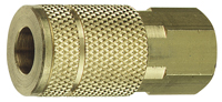 Tru-Flate 13-135 Coupler, 1/4 in, FNPT, Brass