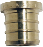 Apollo Valves APXP34 Test Pipe Plug, 3/4 in, Barb