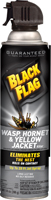 Black Flag HG-11123 Wasp, Liquid, Spray Application, 14 oz Aerosol Can