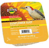 Food Bird Suet Sunflwr 9oz