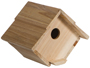 House Bird Cedar Wren