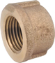 Anderson Metals 738108-08 Pipe Cap, 1/2 in, IPT, Brass, Red, 200 psi