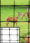 TENAX 001096 Deer Fence; 100 ft L; 7-1/2 ft H; 1-7/9 x 1-32/33 in Mesh;