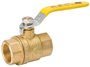 B & K 107-825NL Ball Valve, 1 in Connection, FPT x FPT, 600/150 psi