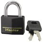 Master Lock 141D Padlock, 1-9/16 in W Body, Brass