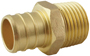 Apollo Valves APXMA1234 Pipe Adapter, 3/4 x 1/2 in, PEX x MPT, Brass, 200