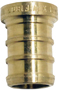 Apollo Valves APXP12 Test Pipe Plug, 1/2 in, Barb