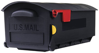 Gibraltar Mailboxes Patriot Series GMB515B01 Rural Mailbox, 1200 cu-in
