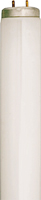 Sylvania 22015 Fluorescent Lamp, 20 W, T12 Lamp, Medium