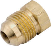 WATTS 39-P Series 39-P-8 Pipe Plug, 1/2 in, Flare, Brass