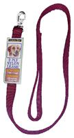 PETMATE 15056 Pet Leash; 6 ft L; 5/8 in W; Nylon Line; Red